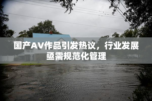 国产AV作品引发热议，行业发展亟需规范化管理