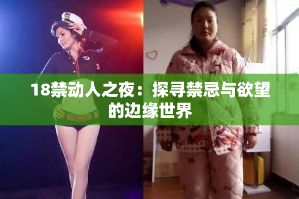 18禁动人之夜：探寻禁忌与欲望的边缘世界