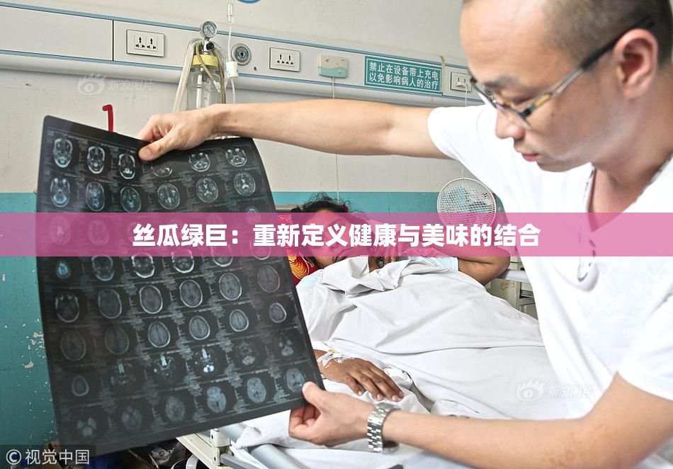 丝瓜绿巨：重新定义健康与美味的结合