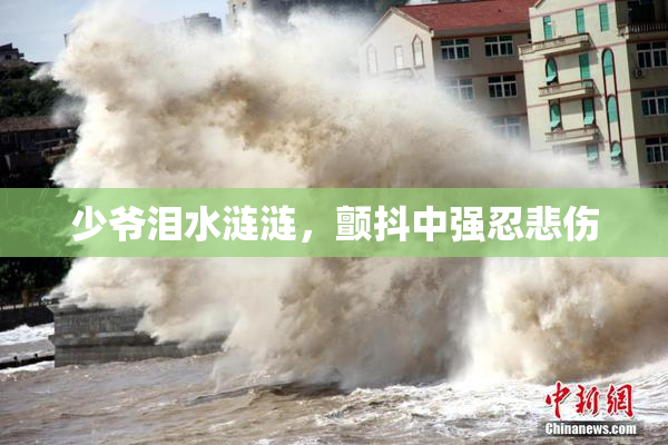少爷泪水涟涟，颤抖中强忍悲伤