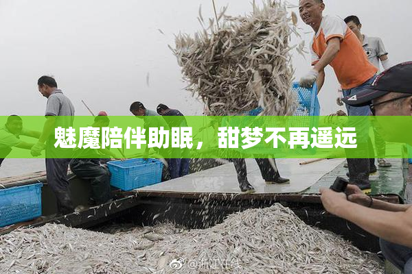 魅魔陪伴助眠，甜梦不再遥远