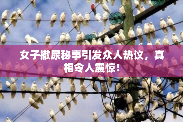 女子撒尿秘事引发众人热议，真相令人震惊！