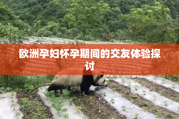 欧洲孕妇怀孕期间的交友体验探讨