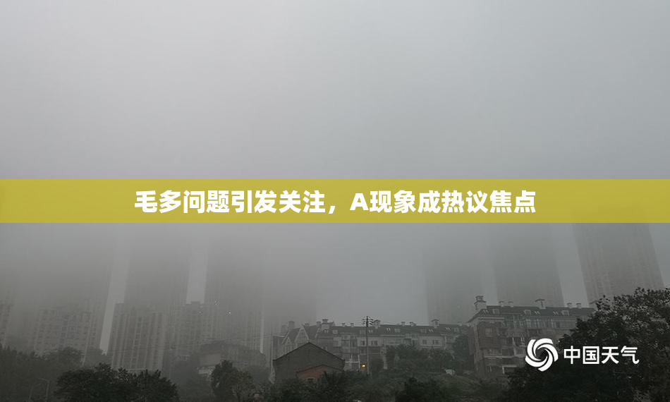 毛多问题引发关注，A现象成热议焦点