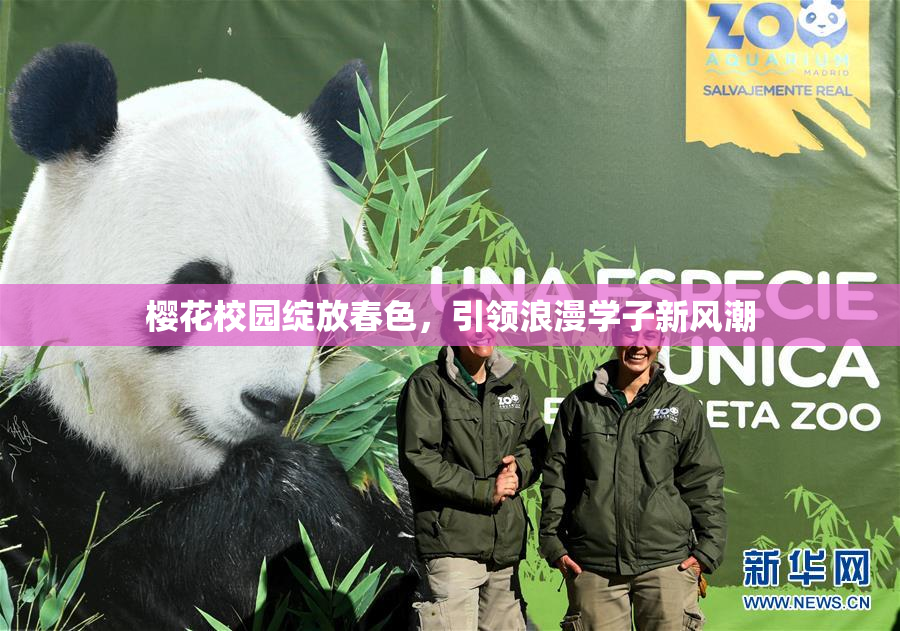 樱花校园绽放春色，引领浪漫学子新风潮