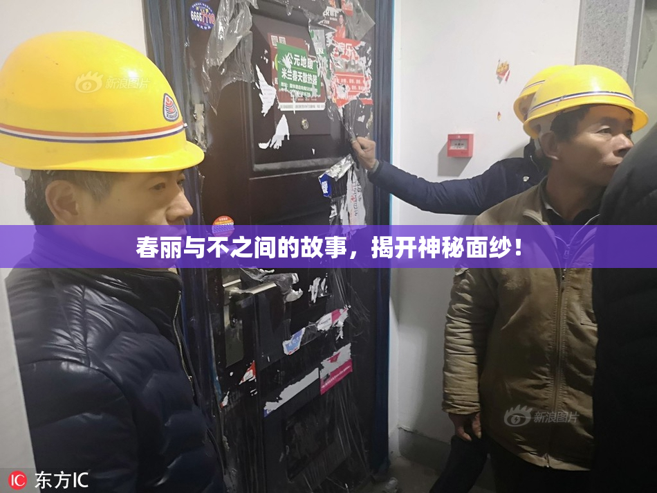 春丽与不之间的故事，揭开神秘面纱！