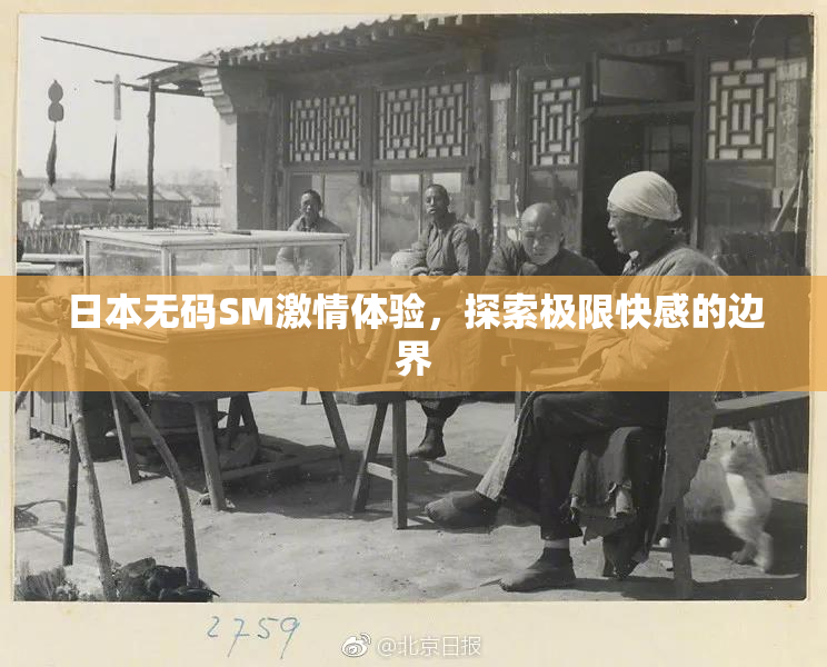 日本无码SM激情体验，探索极限快感的边界
