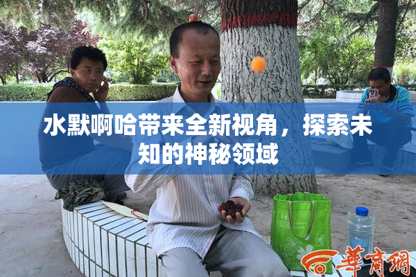 水默啊哈带来全新视角，探索未知的神秘领域