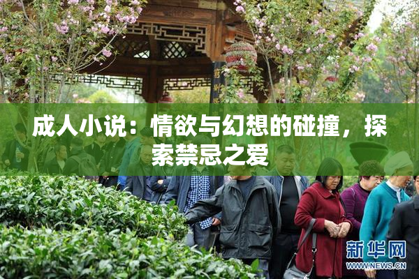 成人小说：情欲与幻想的碰撞，探索禁忌之爱