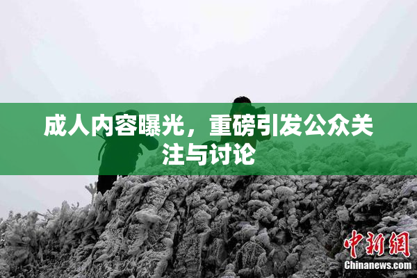 成人内容曝光，重磅引发公众关注与讨论