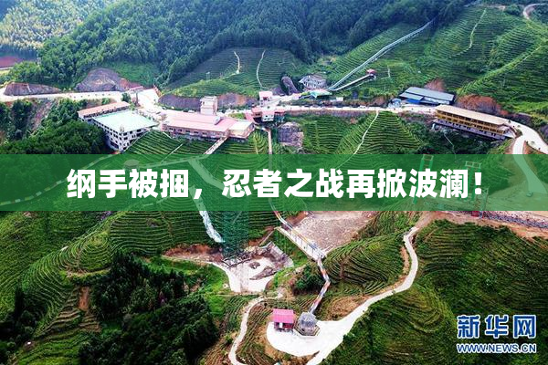纲手被捆，忍者之战再掀波澜！