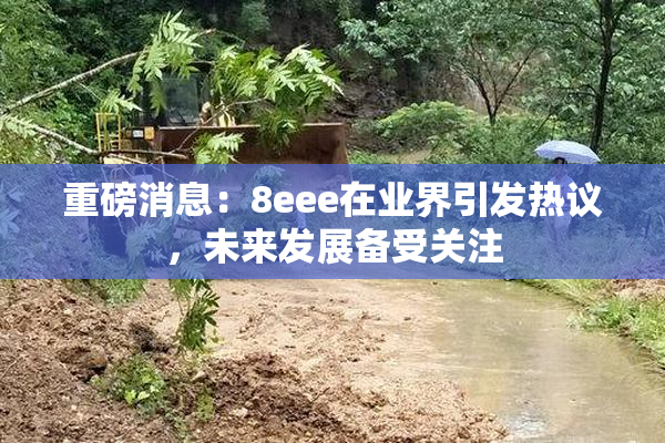 重磅消息：8eee在业界引发热议，未来发展备受关注
