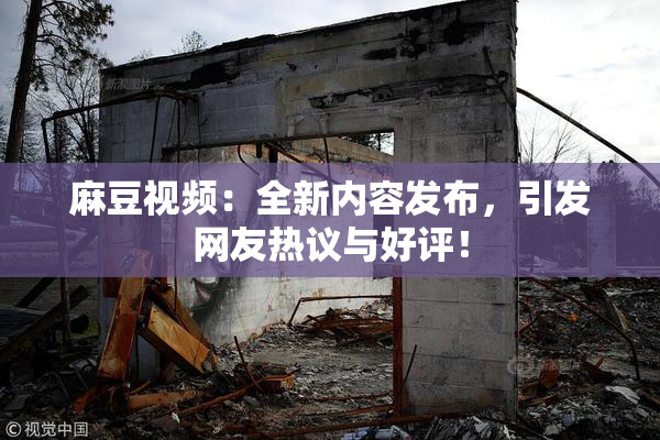 麻豆视频：全新内容发布，引发网友热议与好评！