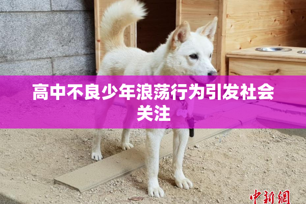 高中不良少年浪荡行为引发社会关注