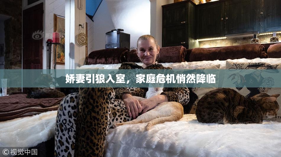 娇妻引狼入室，家庭危机悄然降临