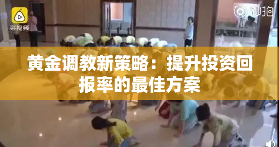 黄金调教新策略：提升投资回报率的最佳方案