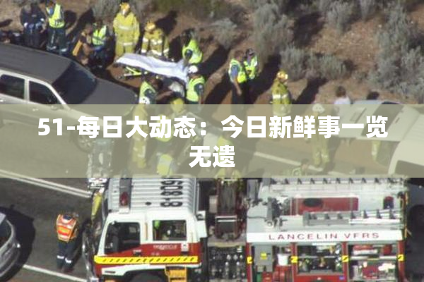 51-每日大动态：今日新鲜事一览无遗