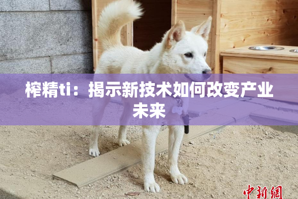 榨精ti：揭示新技术如何改变产业未来