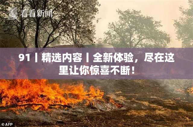 91丨精选内容丨全新体验，尽在这里让你惊喜不断！