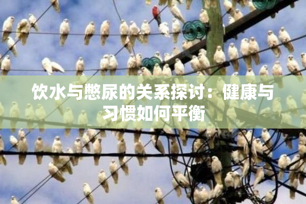 饮水与憋尿的关系探讨：健康与习惯如何平衡