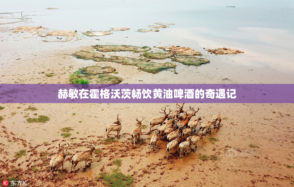 赫敏在霍格沃茨畅饮黄油啤酒的奇遇记
