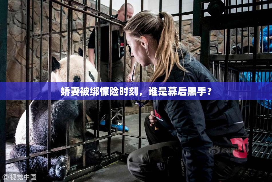 娇妻被绑惊险时刻，谁是幕后黑手？