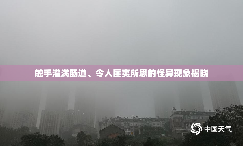 触手灌满肠道、令人匪夷所思的怪异现象揭晓