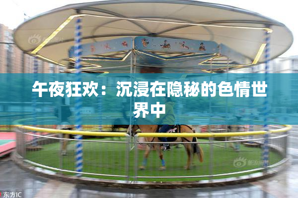 午夜狂欢：沉浸在隐秘的色情世界中