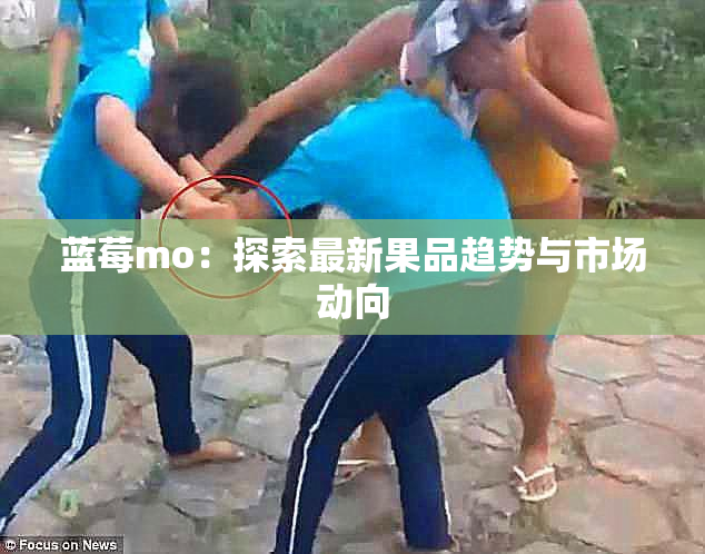 蓝莓mo：探索最新果品趋势与市场动向