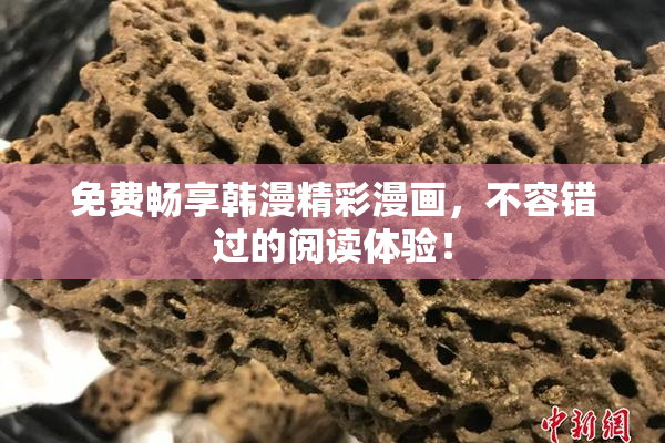 免费畅享韩漫精彩漫画，不容错过的阅读体验！