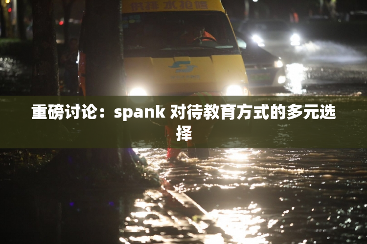 重磅讨论：spank 对待教育方式的多元选择