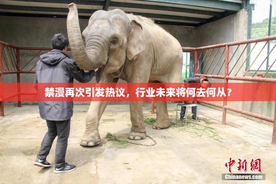 禁漫再次引发热议，行业未来将何去何从？
