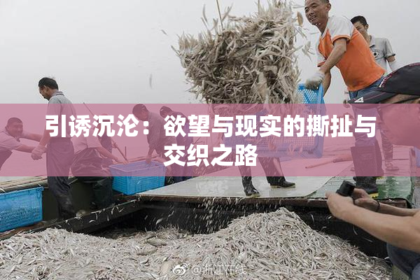 引诱沉沦：欲望与现实的撕扯与交织之路