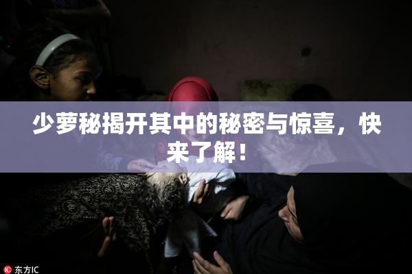 少萝秘揭开其中的秘密与惊喜，快来了解！