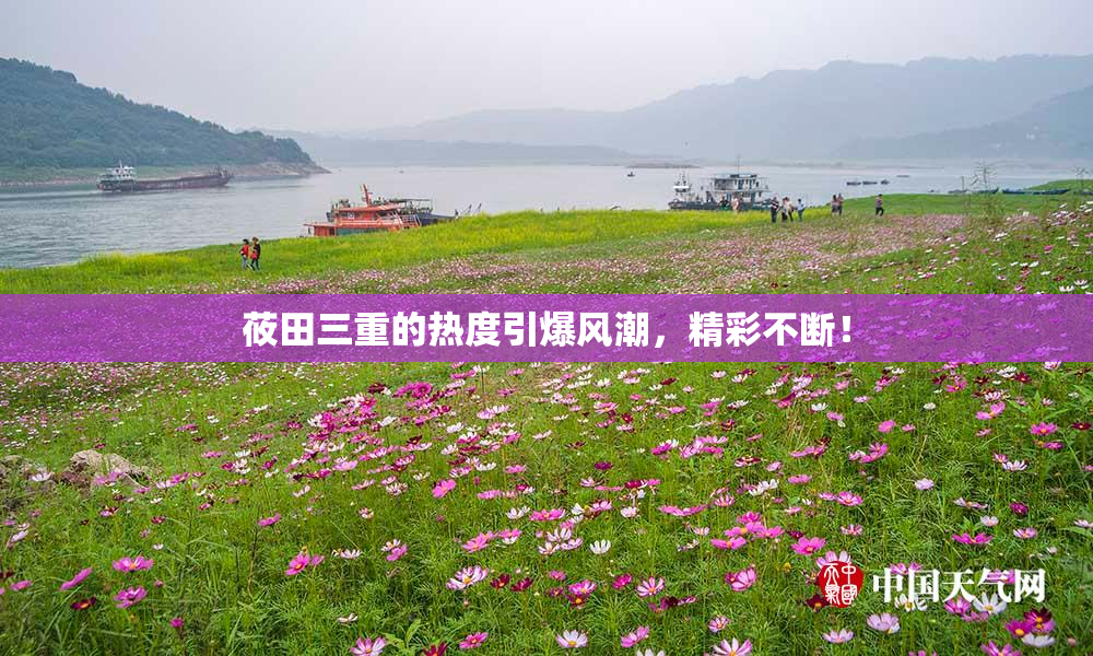 莜田三重的热度引爆风潮，精彩不断！