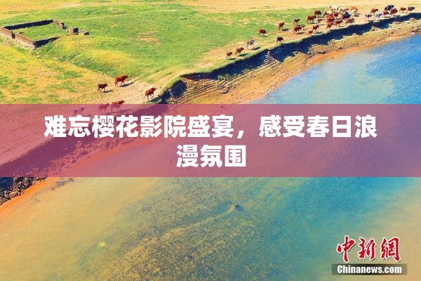 难忘樱花影院盛宴，感受春日浪漫氛围