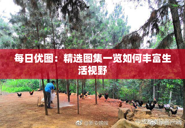 每日优图：精选图集一览如何丰富生活视野