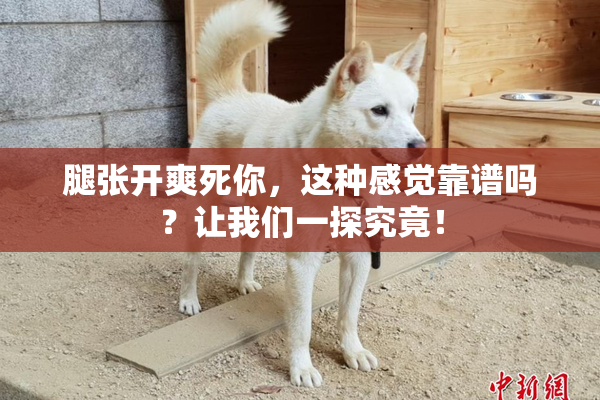 腿张开爽死你，这种感觉靠谱吗？让我们一探究竟！