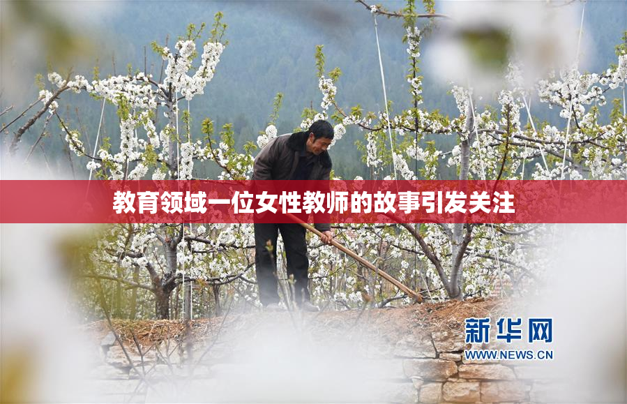 教育领域一位女性教师的故事引发关注