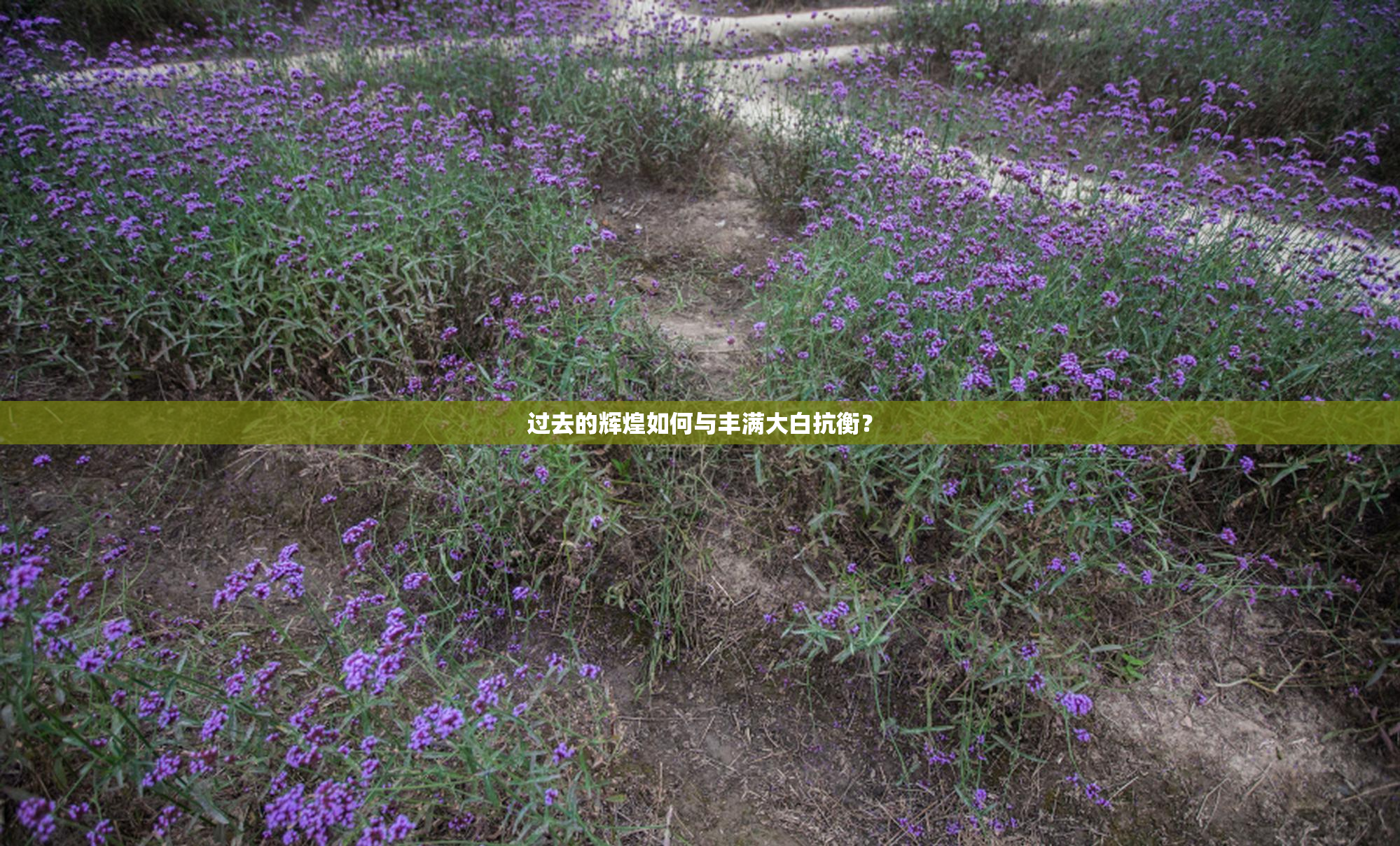 过去的辉煌如何与丰满大白抗衡？