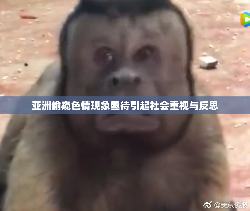 亚洲偷窥色情现象亟待引起社会重视与反思
