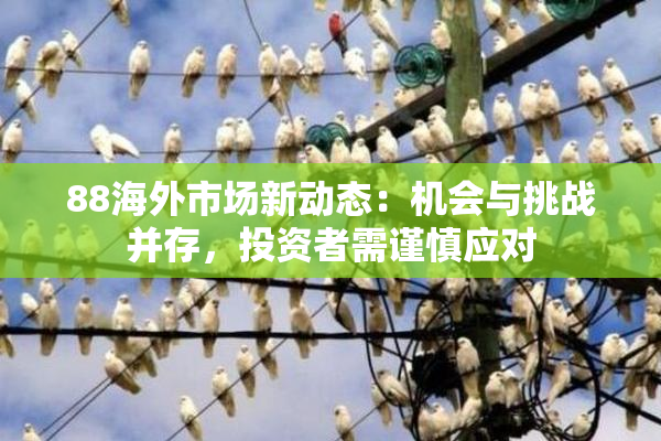 88海外市场新动态：机会与挑战并存，投资者需谨慎应对