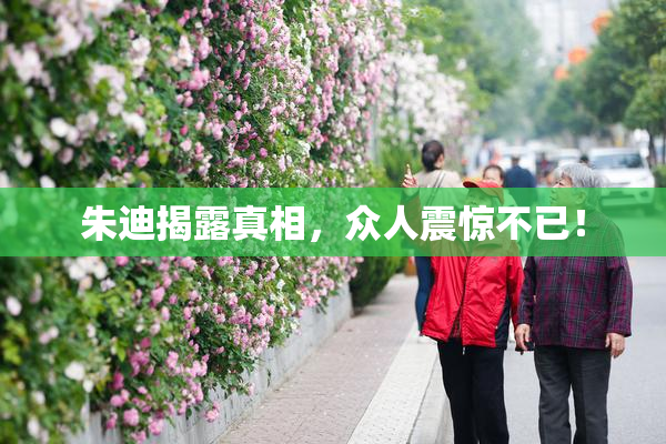朱迪揭露真相，众人震惊不已！