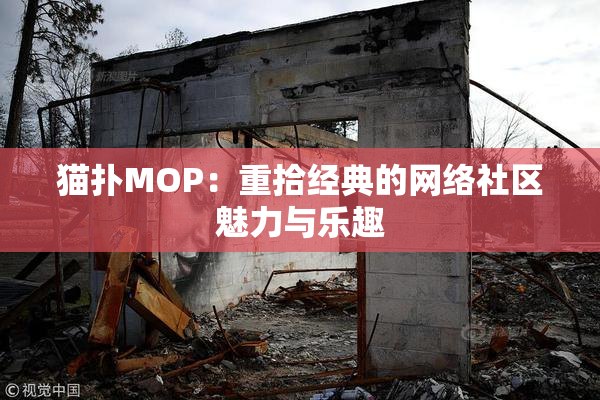 猫扑MOP：重拾经典的网络社区魅力与乐趣