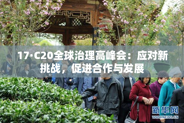 17·C20全球治理高峰会：应对新挑战，促进合作与发展
