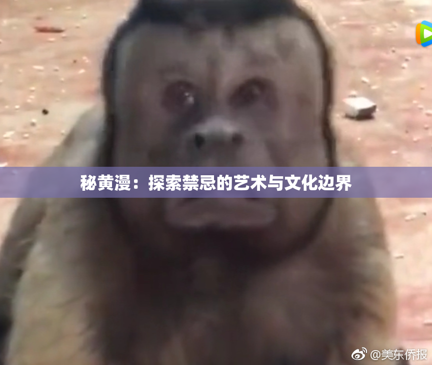 秘黄漫：探索禁忌的艺术与文化边界