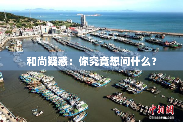 和尚疑惑：你究竟想问什么？