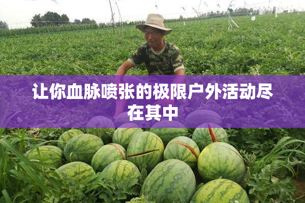 让你血脉喷张的极限户外活动尽在其中