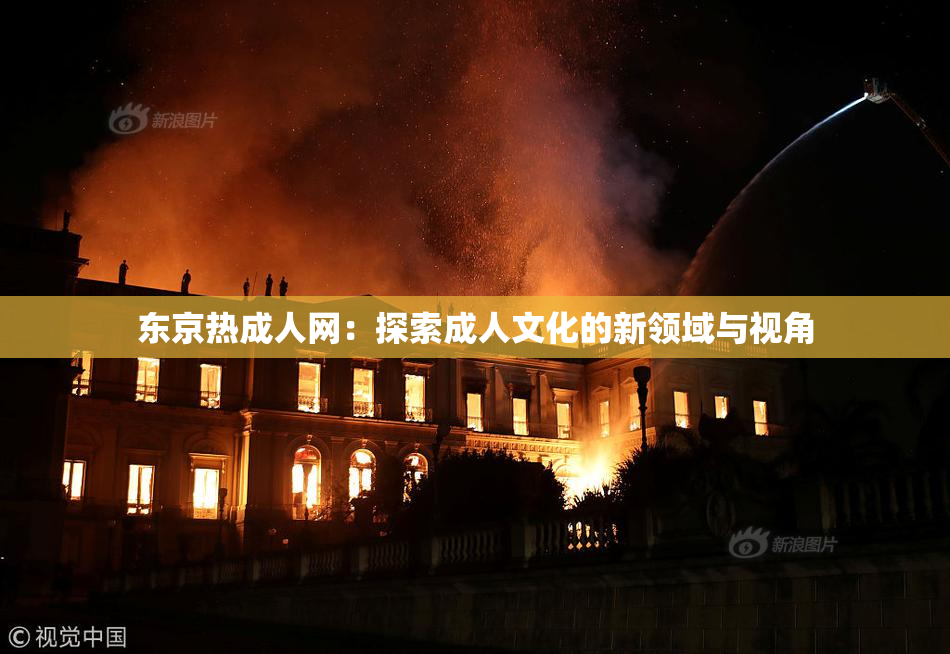 东京热成人网：探索成人文化的新领域与视角