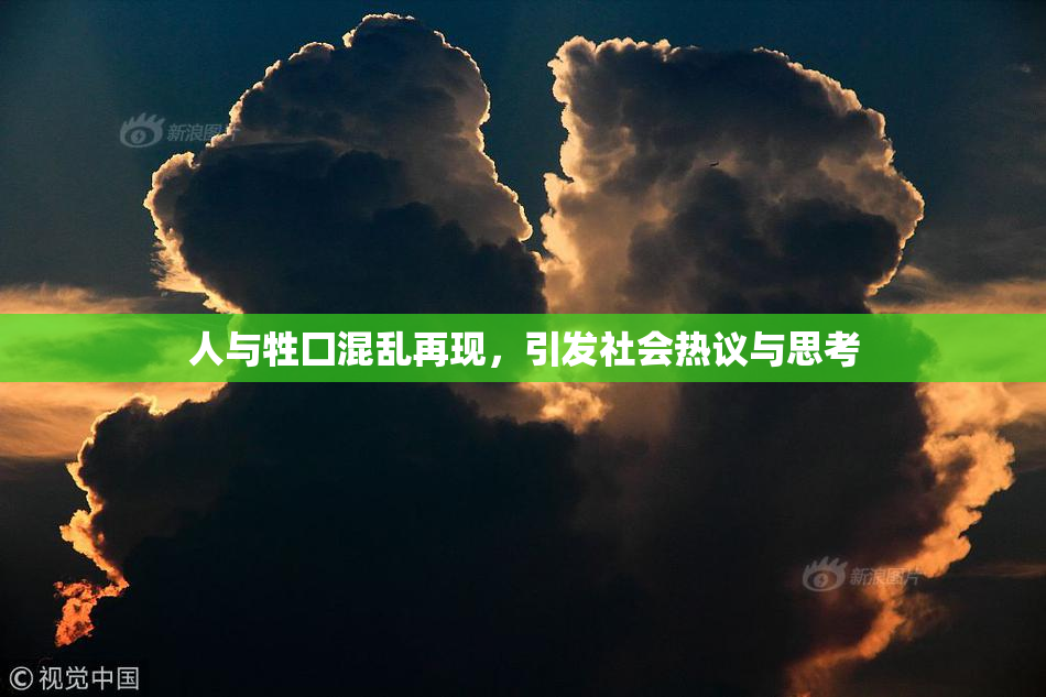 人与牲囗混乱再现，引发社会热议与思考